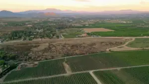 New Winery Resort to Elevate Temecula's Hospitality Landscape